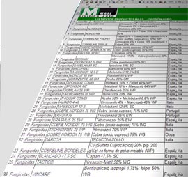 consultoría seguridad de la información